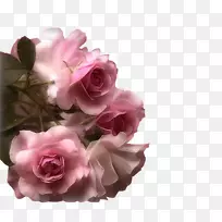 玫瑰花墙纸-古董首饰设计