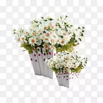 花盆-女人可爱的小花