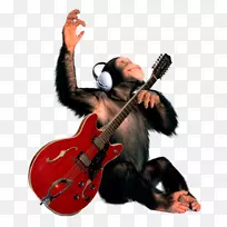 扶手吉他扩音器吉布森es-335猴子-一只大猩猩