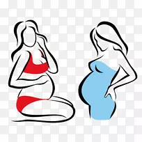 孕妇摄影插图-两个孕妇图案