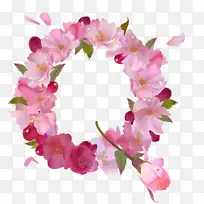 字母字母表插花艺术-q