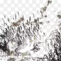 水墨画画工笔画-芦苇沼泽上的两只白鹅墨水