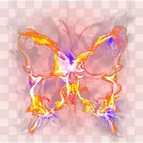 蝴蝶花瓣电脑壁纸-彩色蝴蝶