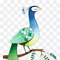 水彩画孔雀插图手绘站立树枝傲慢的孔雀