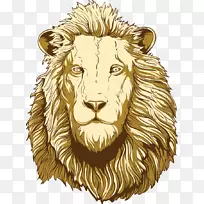 狮子头插图-狮头