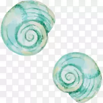 软体动物壳贝壳蜗牛绿色海螺