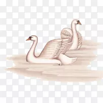 苏尼尼画水墨画艺术手绘白天鹅