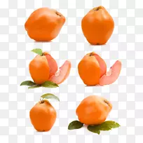 金门莲橘子八角苹果叶