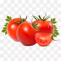 罗马番茄食品牛排番茄剪贴画-番茄