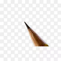 木材染色眉毛特写字体铅笔