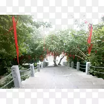 林村许愿树-楼梯旁的许愿树
