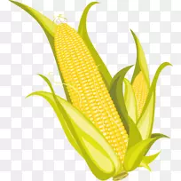 玉米芯上的玉米片爆米花-玉米和爆米花图像