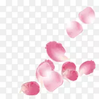 海滩玫瑰花瓣-粉红色玫瑰落叶