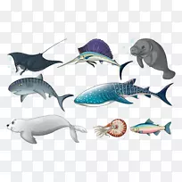 海狮龟海洋水生动物.鱼的媒介变种
