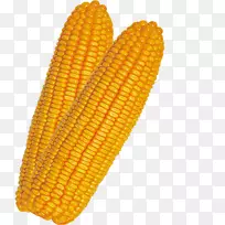 玉米上的玉米-玉米