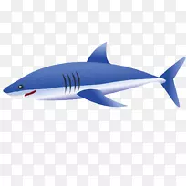 虎鲨蓝鲨鲨鱼