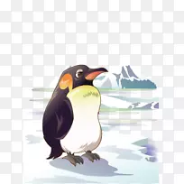 南极企鹅南极剪贴画-南极企鹅