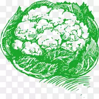 花椰菜画植物插图.手绘抽象图案花椰菜