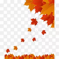 秋叶颜色-枫叶秋叶材料