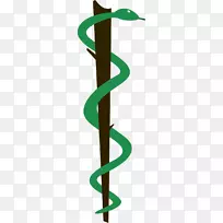 立陶宛健康科学大学医学标志-绿蛇
