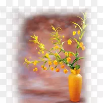 花卉花束设计摄影-美丽的花草背景