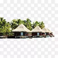 巴厘岛蓬塔卡纳酒店索菲特博拉马拉拉海滩度假别墅-椰子树