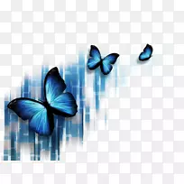 蝴蝶蓝色摄影微软PowerPoint插图-彩色蝴蝶