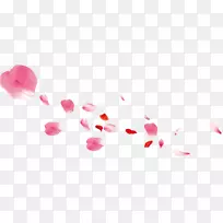 花瓣粉红色-粉红色花瓣飘落