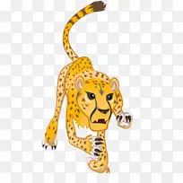 印度豹卡通-豹