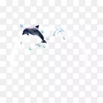 天空动物图案-水泡海豚