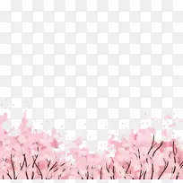 樱花-华丽的粉红色樱花物质海