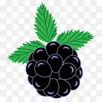 黑莓曲线剪贴画葡萄