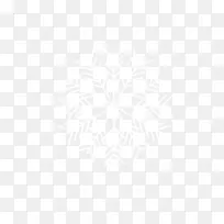 白色黑色图案-白雪公主