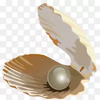 贝壳珍珠下载珠宝-珍珠壳