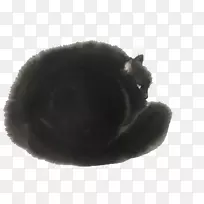 黑猫猫科胡须-卷曲黑色