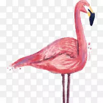 Flamingo版画印刷.起重机喷墨材料