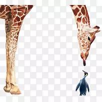 企鹅长颈鹿鸟海报水彩画长颈鹿企鹅写实水彩