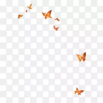 蝴蝶模板图标-蝴蝶组