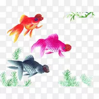 金鱼水墨画，墙纸-金鱼游泳