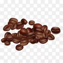 咖啡豆种子.载体咖啡豆