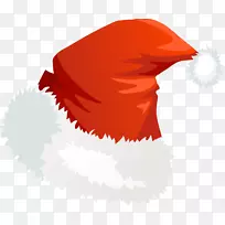 圣诞圣诞树-圣诞红帽