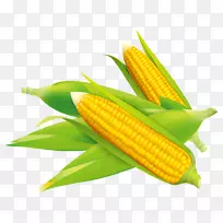 玉米粒上的玉米片玉米田玉米-玉米