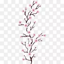 樱花树，樱花-粉红色樱花