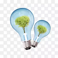 光能节约环境影响评估蓝鲜球植物装饰图案
