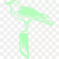 鸟嘴绿翅鹅手绘绿鸟