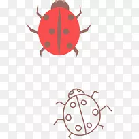 昆虫瓢虫土坯插画艺术手绘可爱瓢虫