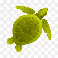 海龟水生动物海洋剪贴画海洋生物