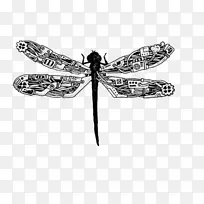 蒸汽朋克艺术家绘画插图-创造性手绘机械元件蜻蜓