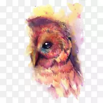 猫头鹰水彩画艺术