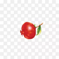 番茄樱桃红果石榴